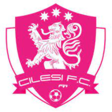 https://img.shuoqiu.top/img/football/team/7aa0eae9d284e6aab302a00cb5107481.png