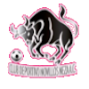 https://img.shuoqiu.top/img/football/team/97c3ef30cac48cadff97605e387feefa.png